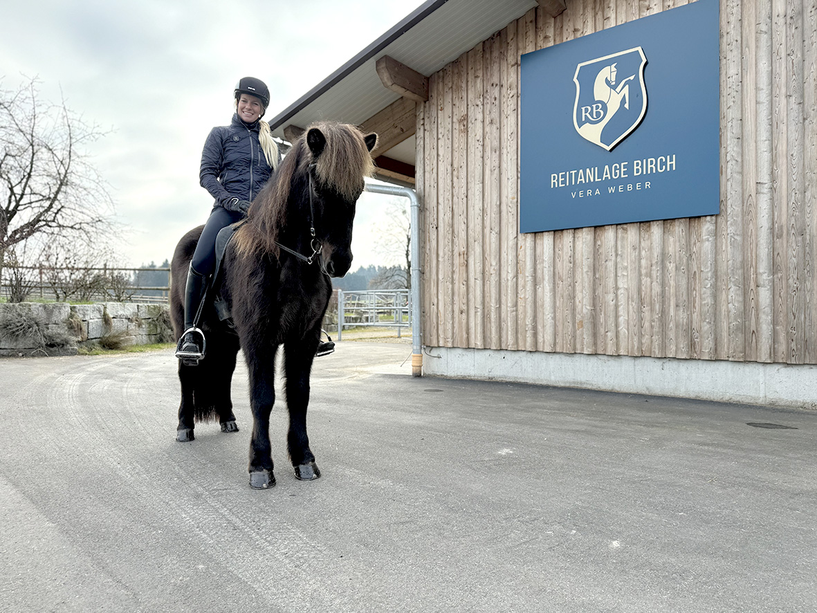 Íslenskur hestur fer til Afríku