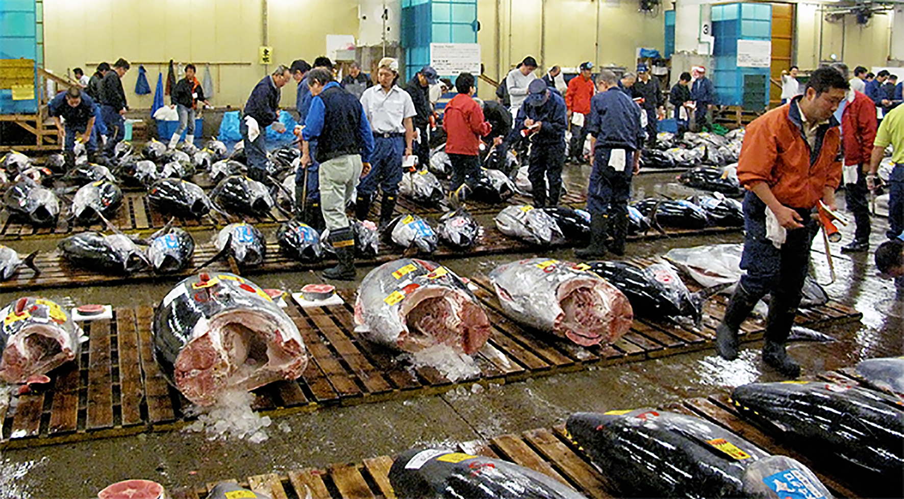 Sushi og safaríkar steikur