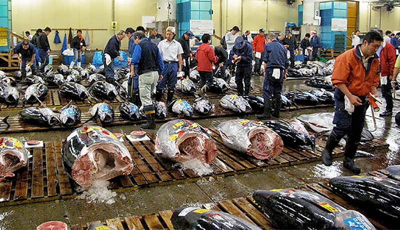 Sushi og safaríkar steikur