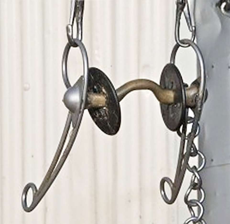 LH bannar tungubogamél en FEIF ekki