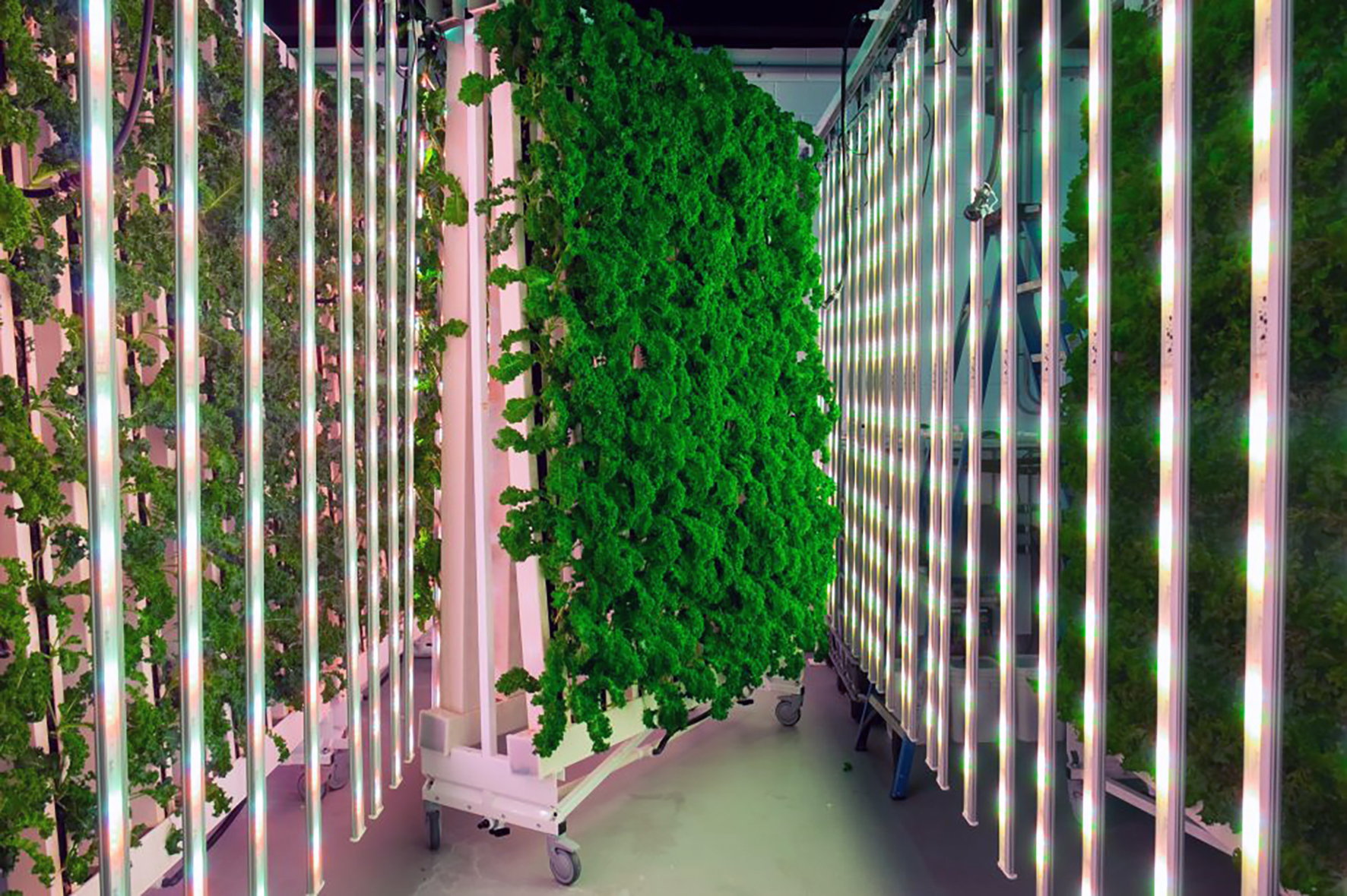 Krafa viðskiptavina um græna nálgun eykst sífellt