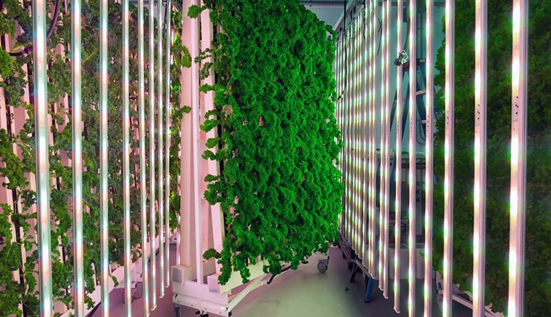 Krafa viðskiptavina um græna nálgun eykst sífellt