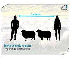 Göngur og réttir með öðrum brag