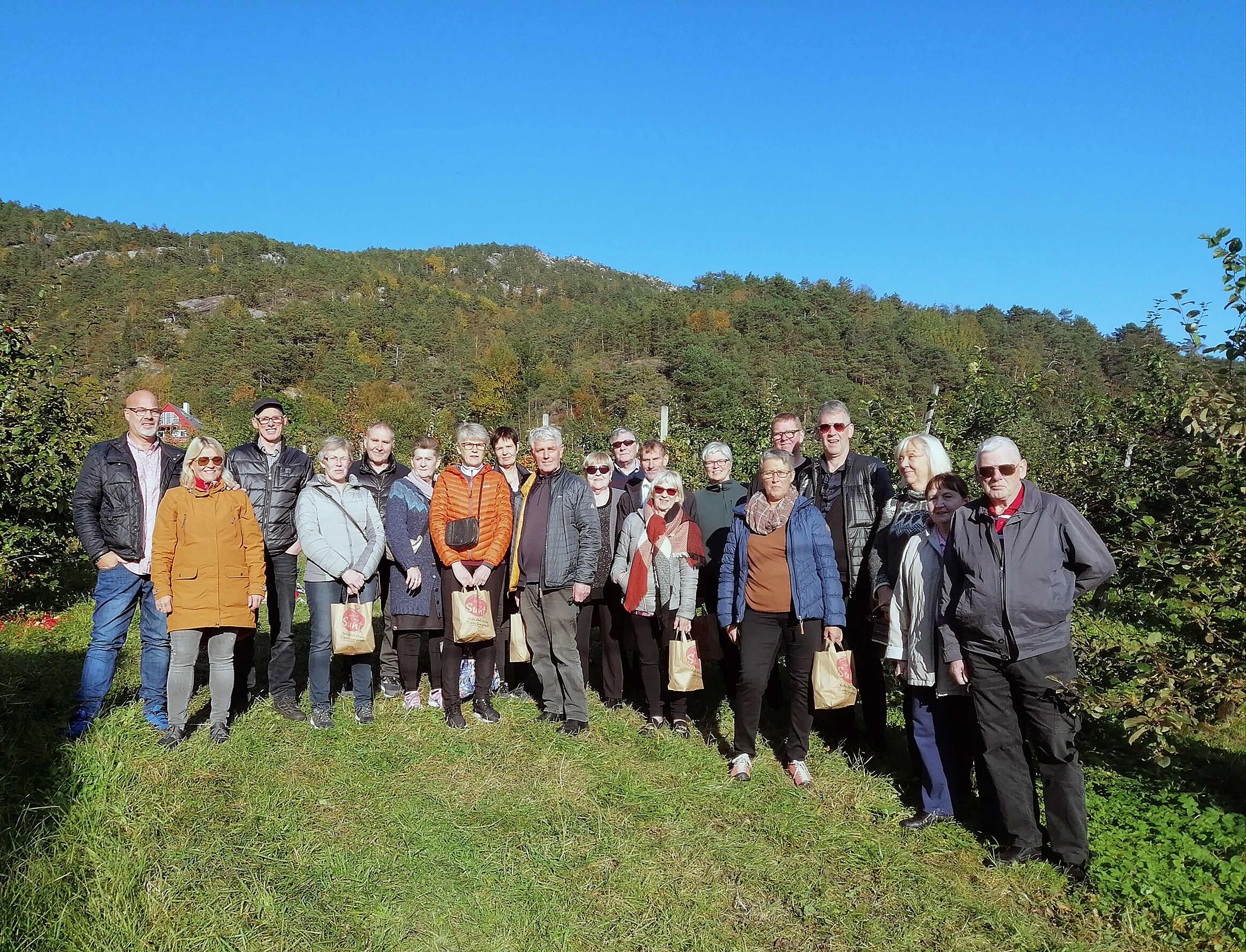 Glaðbeitt í eplatínslu í Noregi