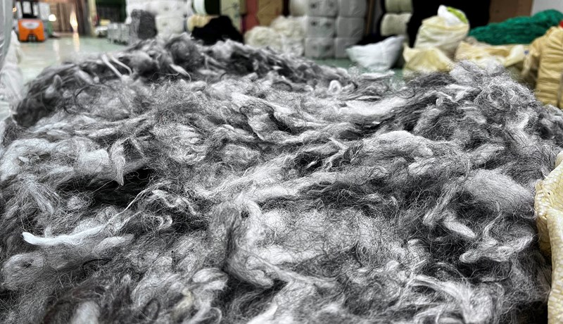 Stjórnvöld hafa gleymt gildi íslensku ullarinnar