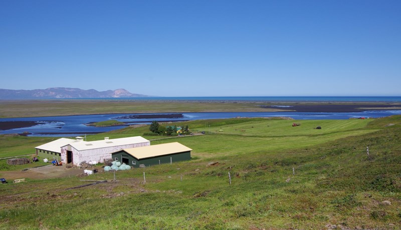 „Ríkið er orðið versti bóndi landsins“