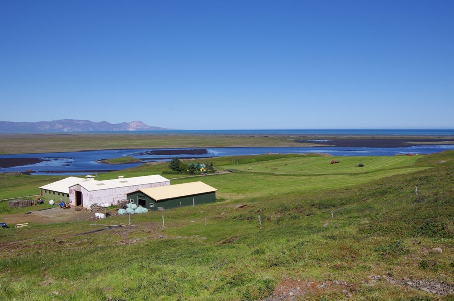 Unaós við Héraðsflóa.