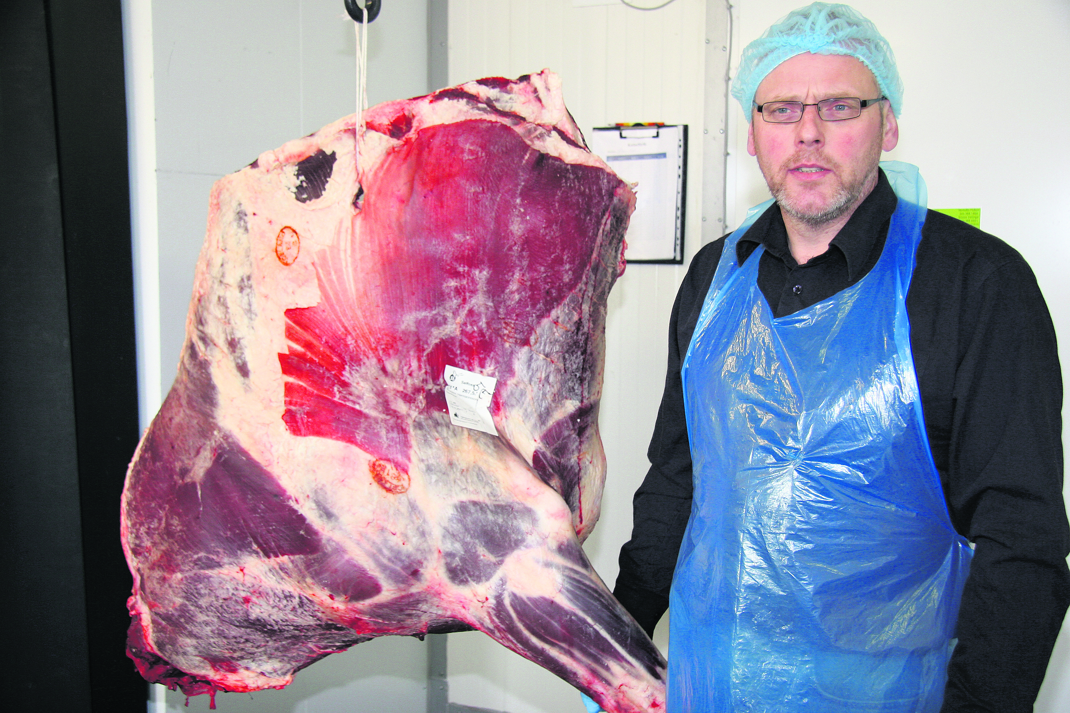 Nautakjötsframleiðendur hafa lengi beðið eftir endurnýjun í stofninum