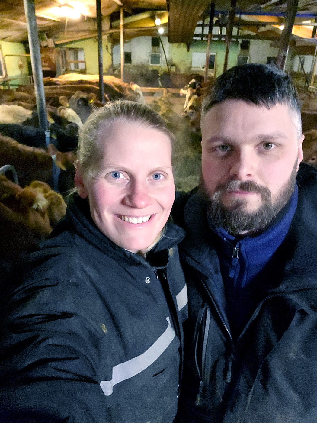 Kýrnar sluppu en pyngjan ekki