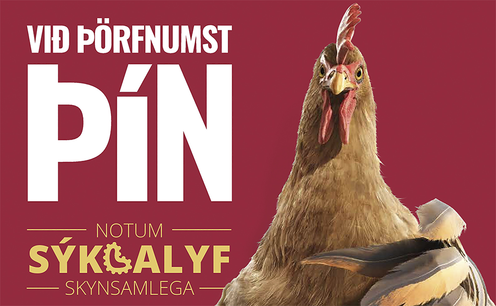 Vitundarvika um skynsamlega notkun sýklalyfja