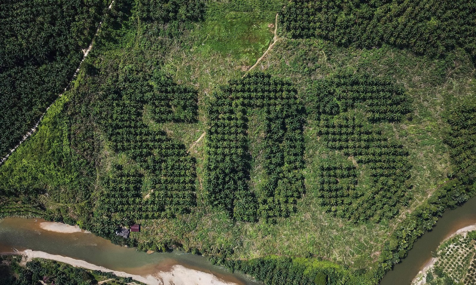 Skrifaði SOS í olíupálma- akur á eyjunni Súmötru