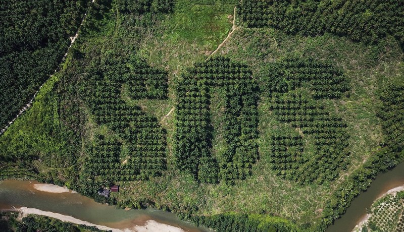 Skrifaði SOS í olíupálma- akur á eyjunni Súmötru
