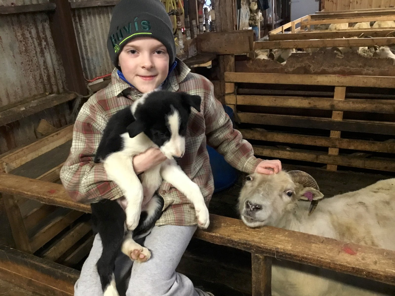 Duglegur að hjálpa til heima við bústörf