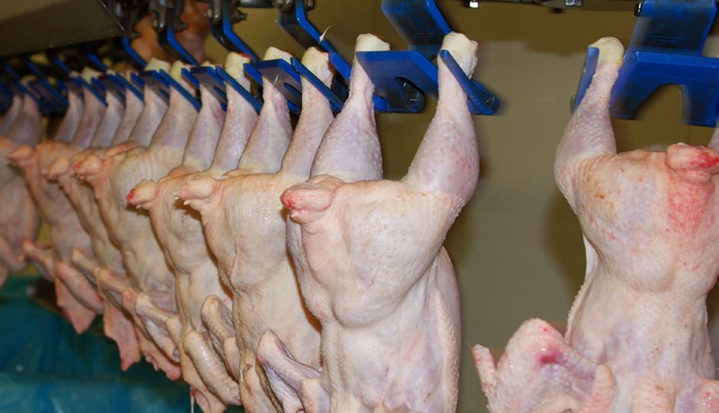 Alifuglakjöt er langvinsælasta kjötafurðin með 9.530 tonna sölu 2017