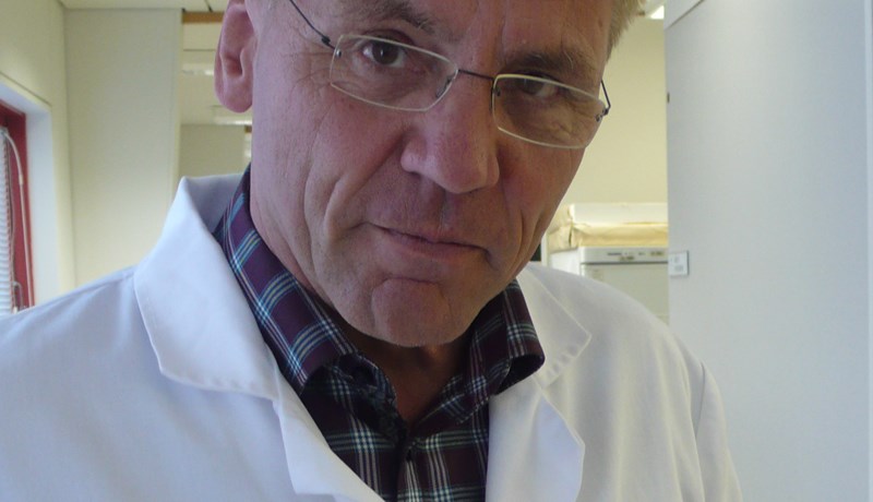 Fjölónæmar bakteríur í innfluttu grænmeti