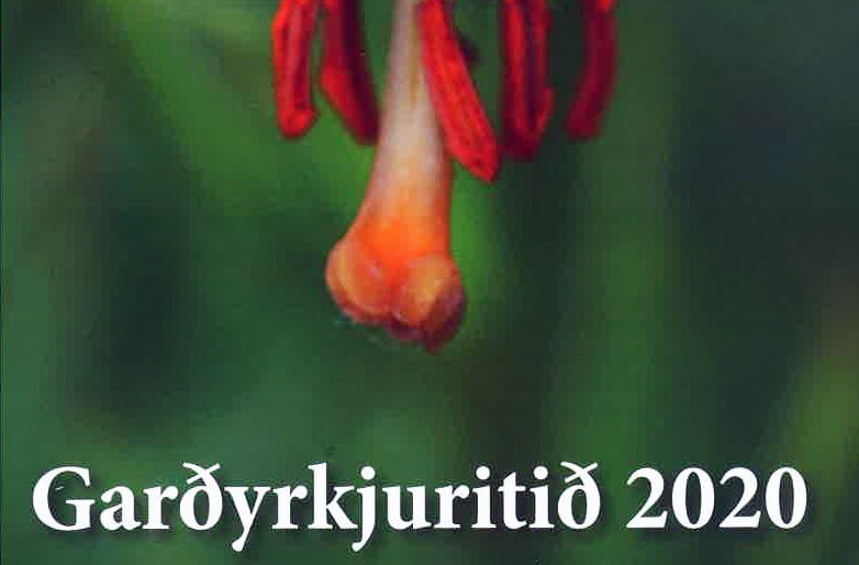 Eitt hundraðasta tölublað