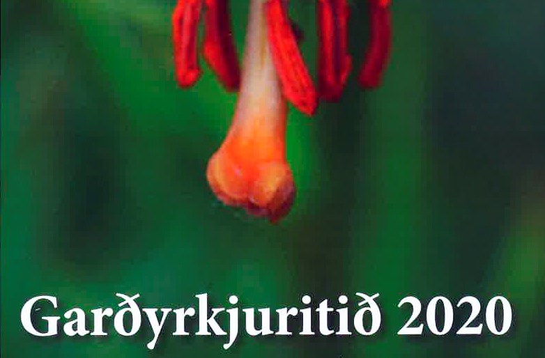 Eitt hundraðasta tölublað