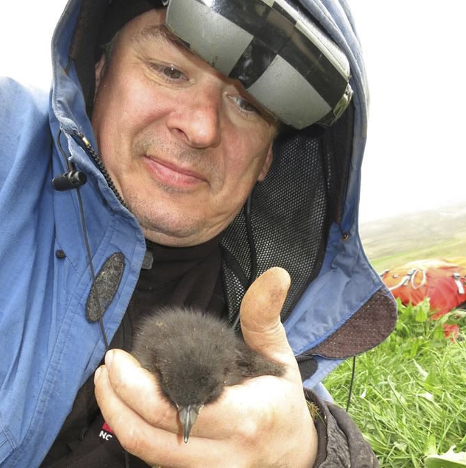 Staða lundastofnsins fer batnandi