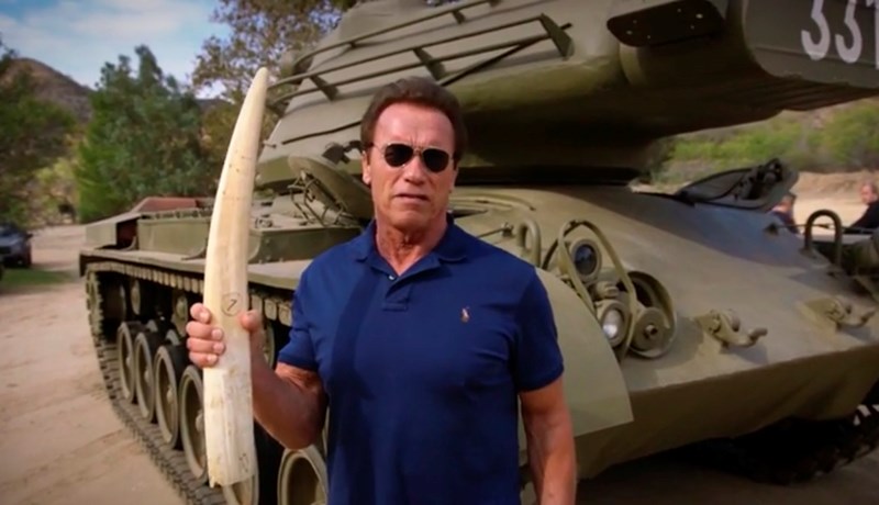 Schwarzenegger sprengir fílatönn í loft upp