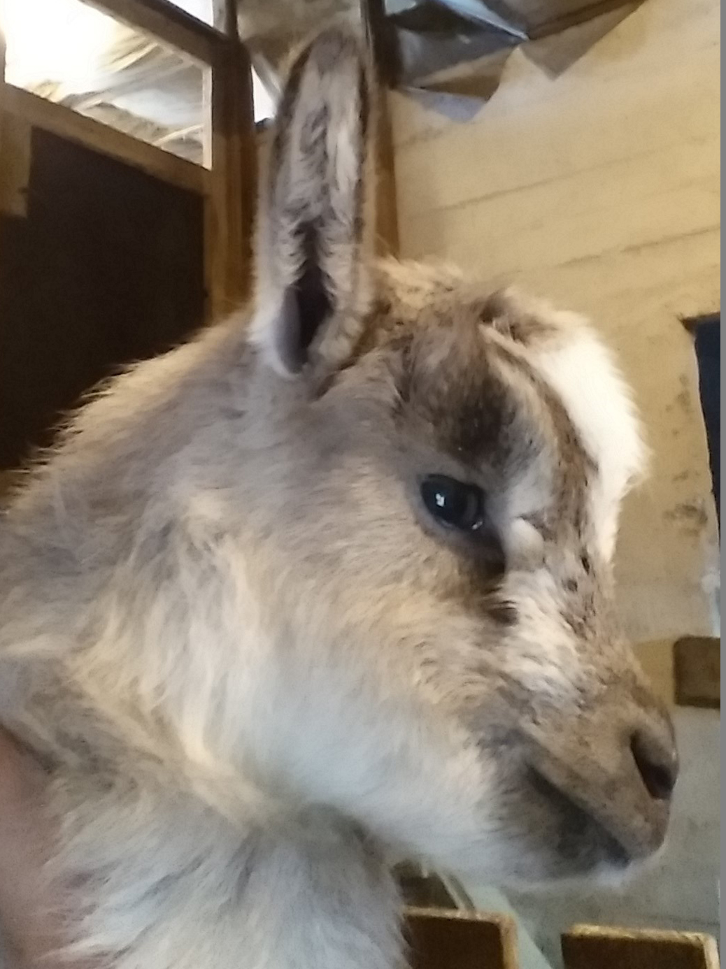 Ótrúlegar litasamsetningar