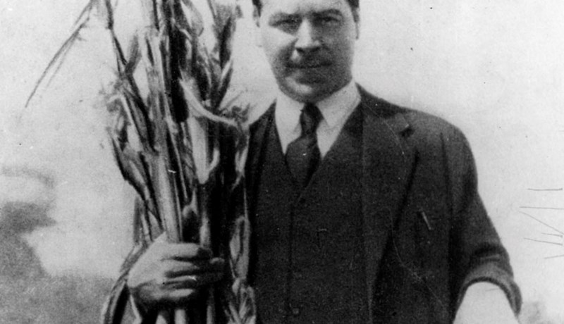 Vavilov og aðstoðarmennirnir sem sultu í hel