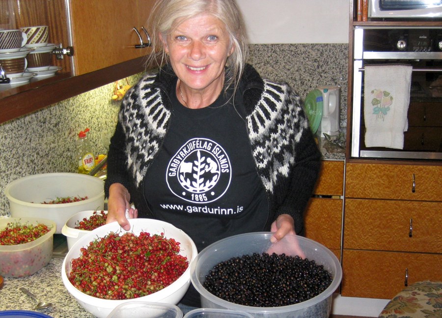 Úr sarpi Bændablaðsins: Veigar garðsins