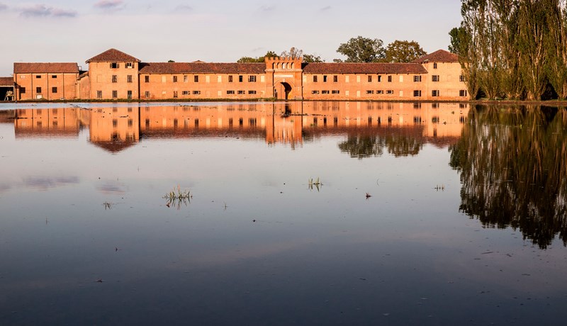 Hið eðla grjón carnaroli frá Acquerello