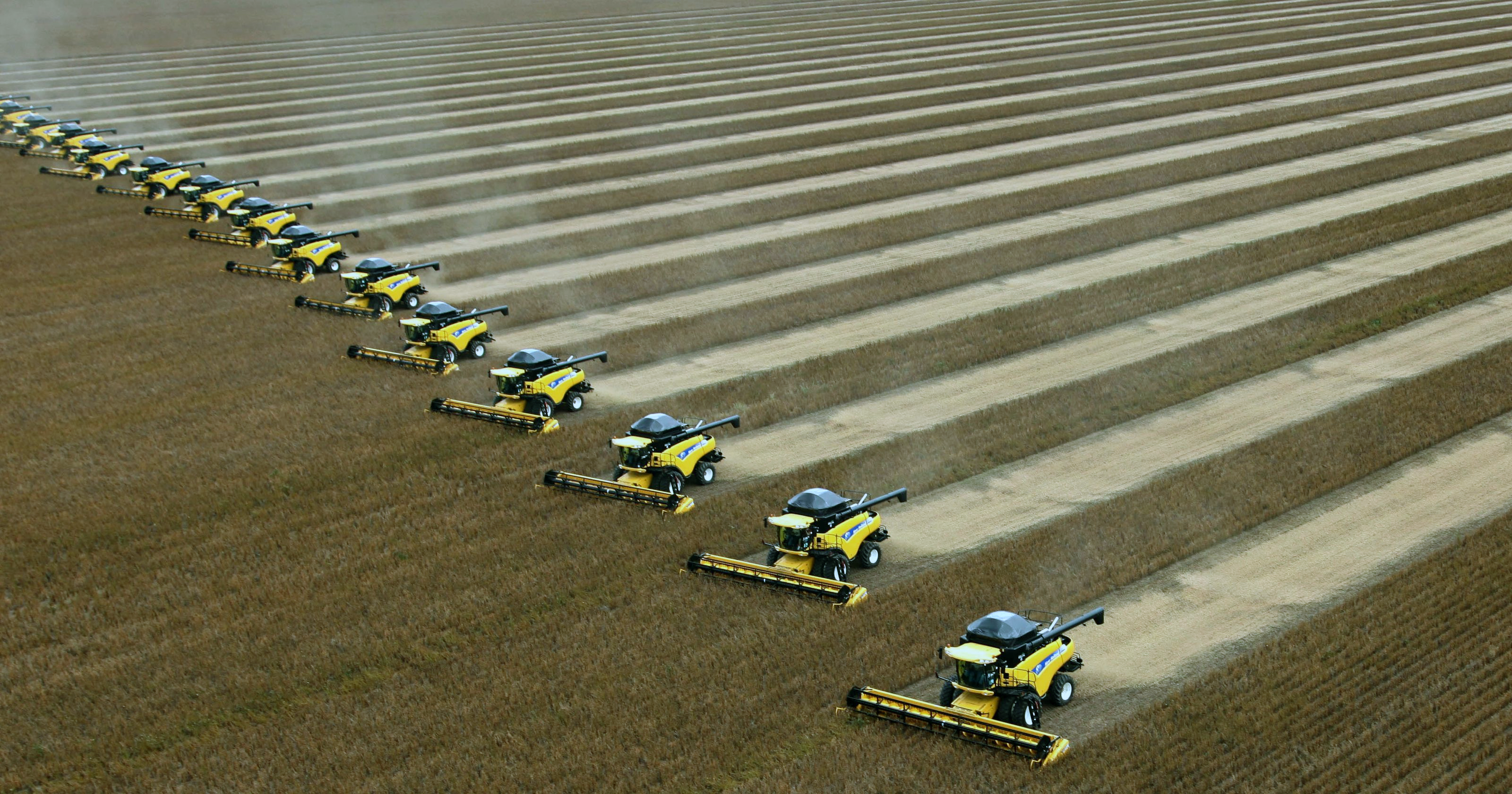 Meira ræktað af soja en maís