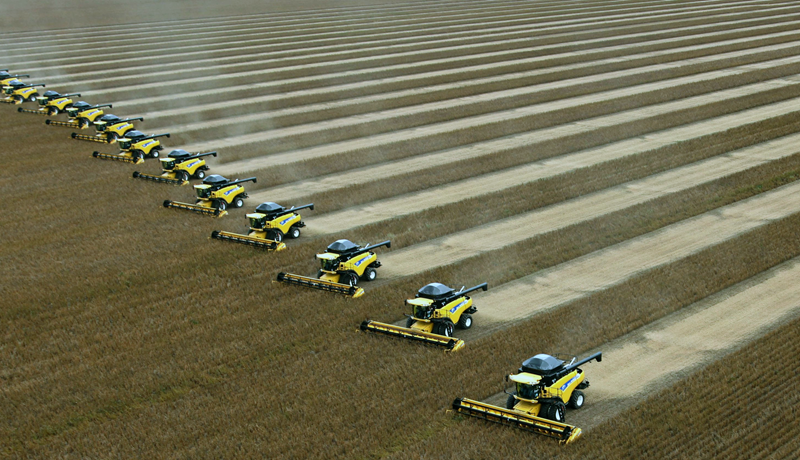 Meira ræktað af soja en maís