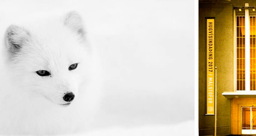 Við dýrin: Um landbúnað og þróun, eðli og atferli manna og málleysingja