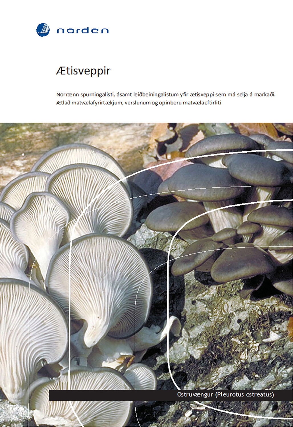 Góðir og vondir sveppir