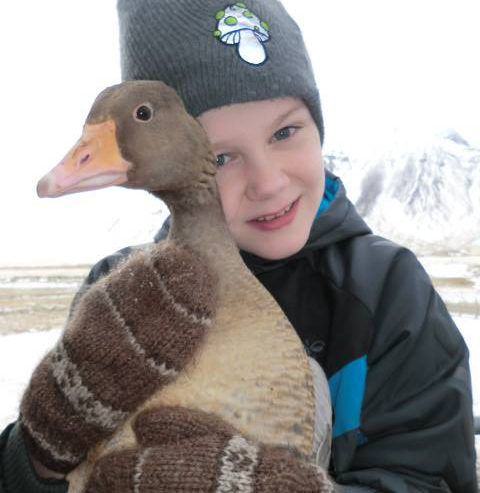 Hamborgari og svið besti maturinn