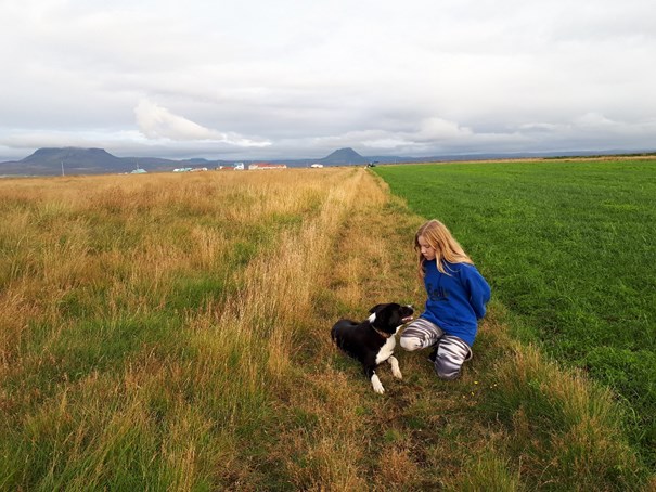 Hrossabóndi eða hundatemjari