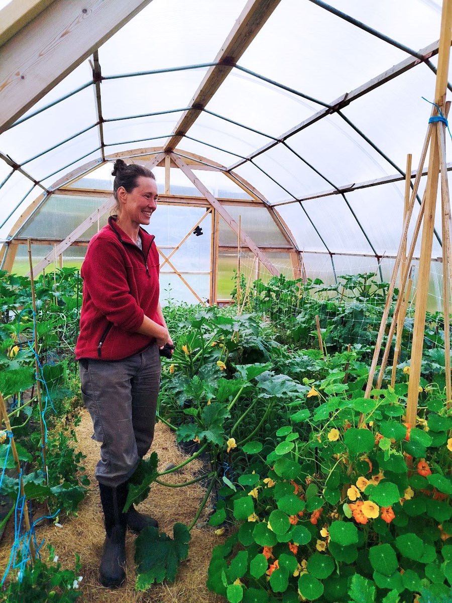 Andrea Mueller á Blöndudalshólum bætist í hóp ræktenda á lífrænt vottuðu grænmeti. 
