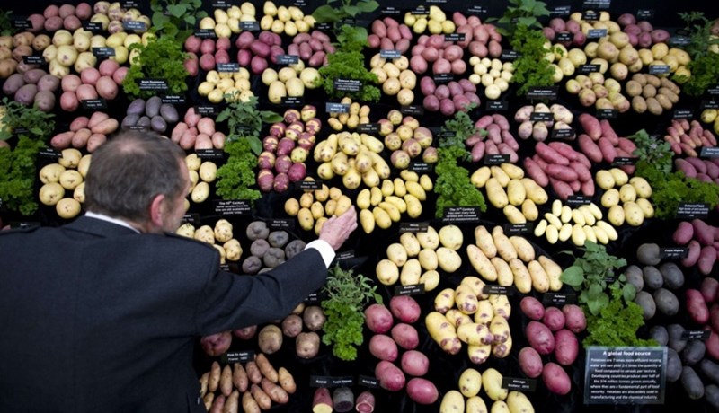 Kartöflur kalla fram ólík hughrif