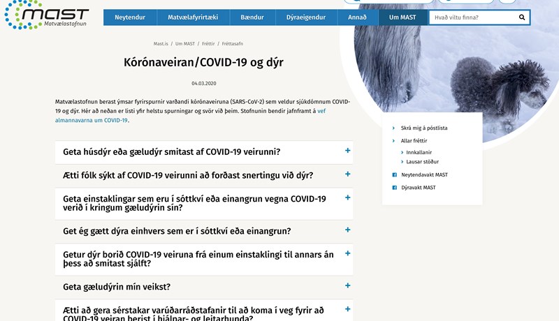 Nýjar upplýsingar hjá Matvælastofnun um COVID-19 og dýrahald