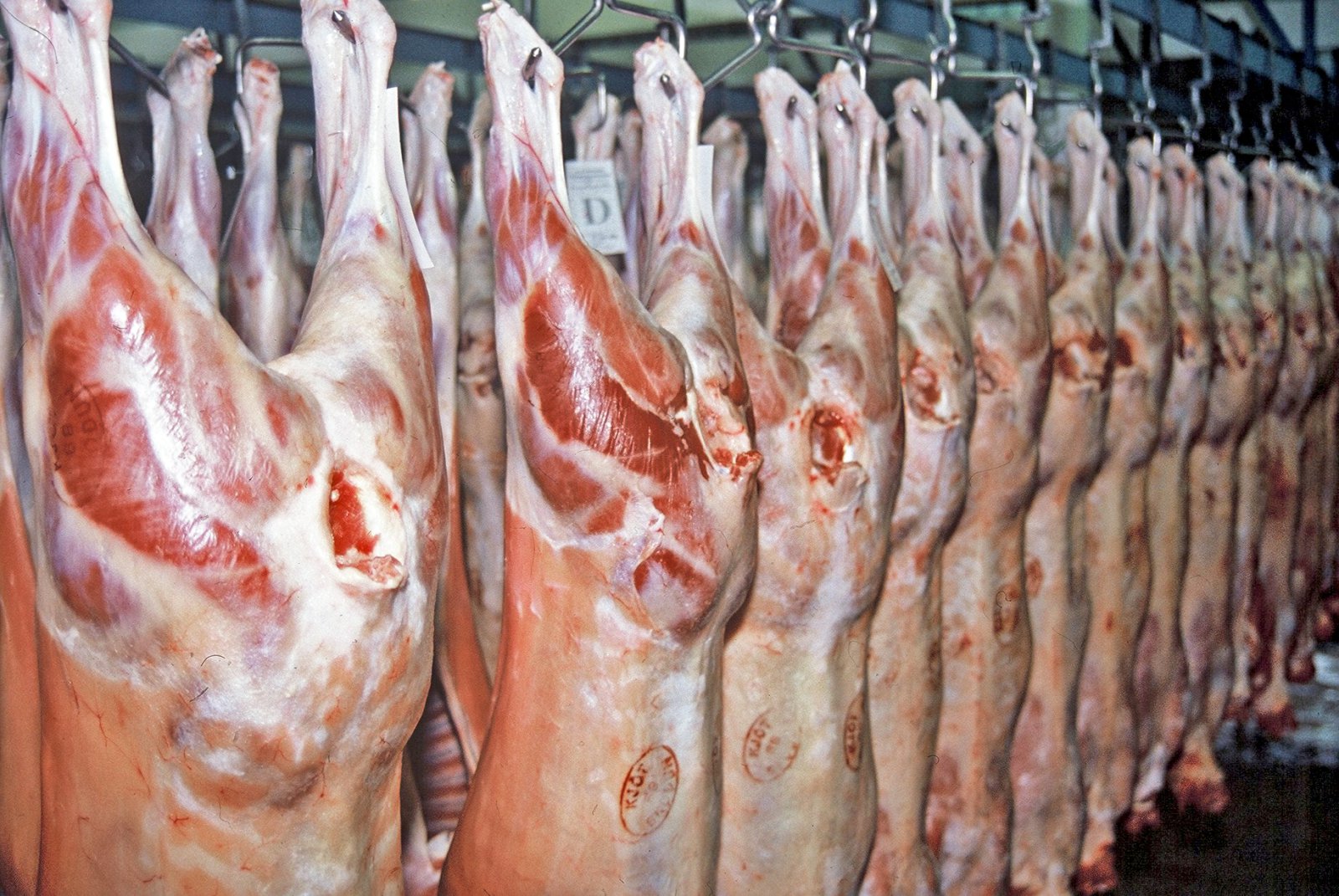 Vilja borga afurðastöðvum fyrir geymslu neyðarbirgða