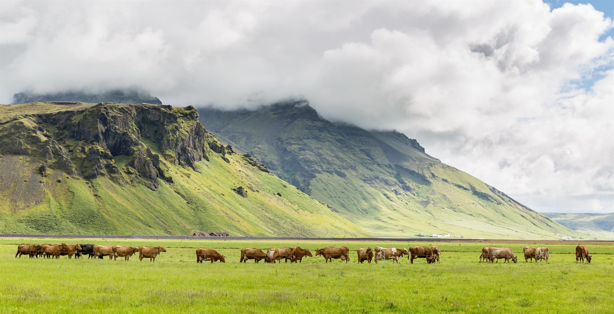 Misræmis gætir í innflutningstölum