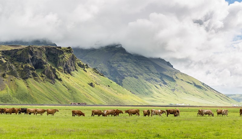 Villandi framsetning