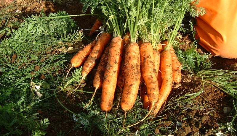 Stjórntæki fyrir framleiðendur