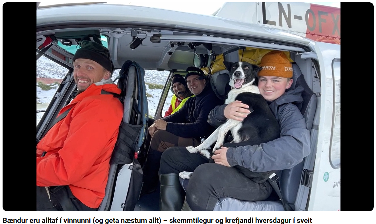 Skemmtileg kennslumyndbönd „beint frá bónda“
