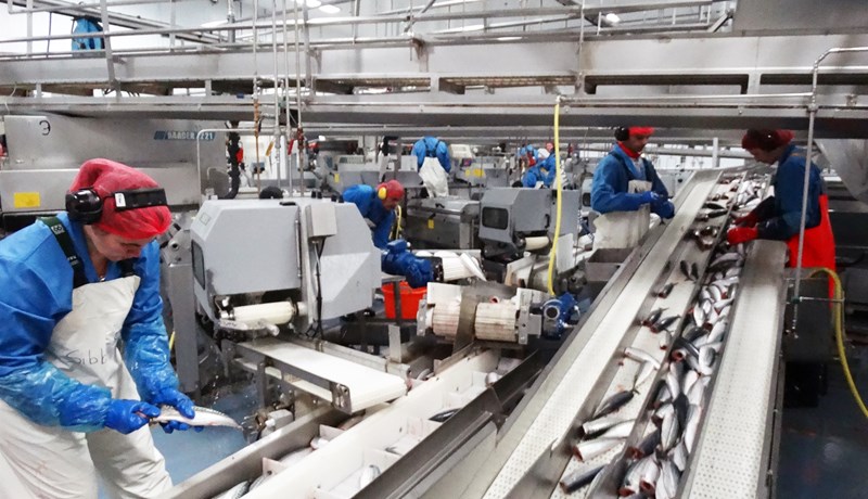 Tæknibyltingin í uppsjávargeiranum