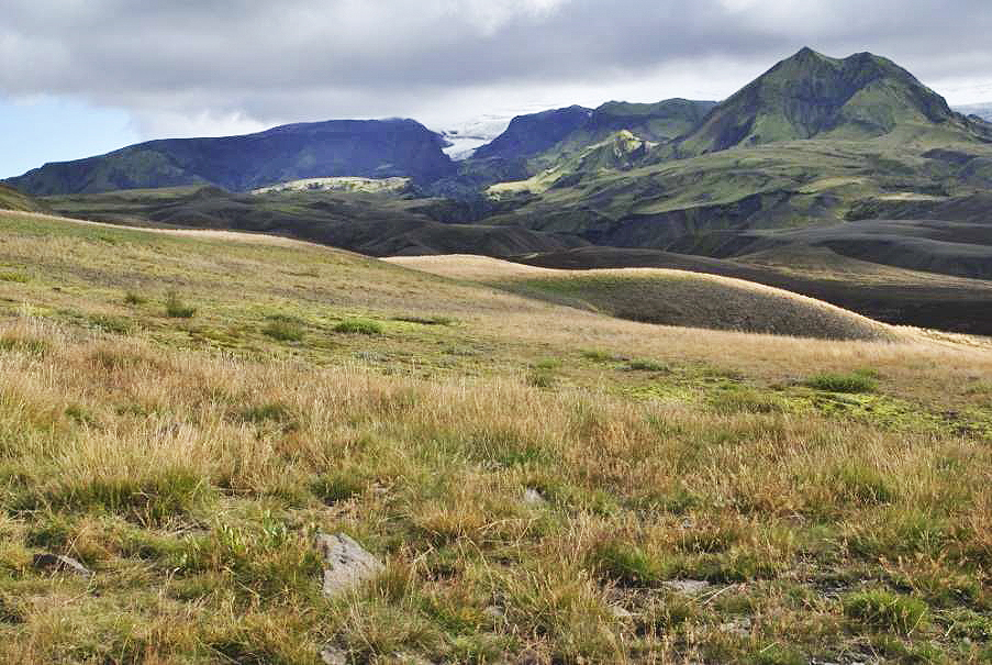 Beit í Almenningum bundin við 60 tvílembur