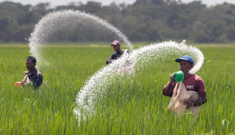 Áburðarnotkun rokkar frá 3 grömmum og upp í tæp 35 tonn á hektara