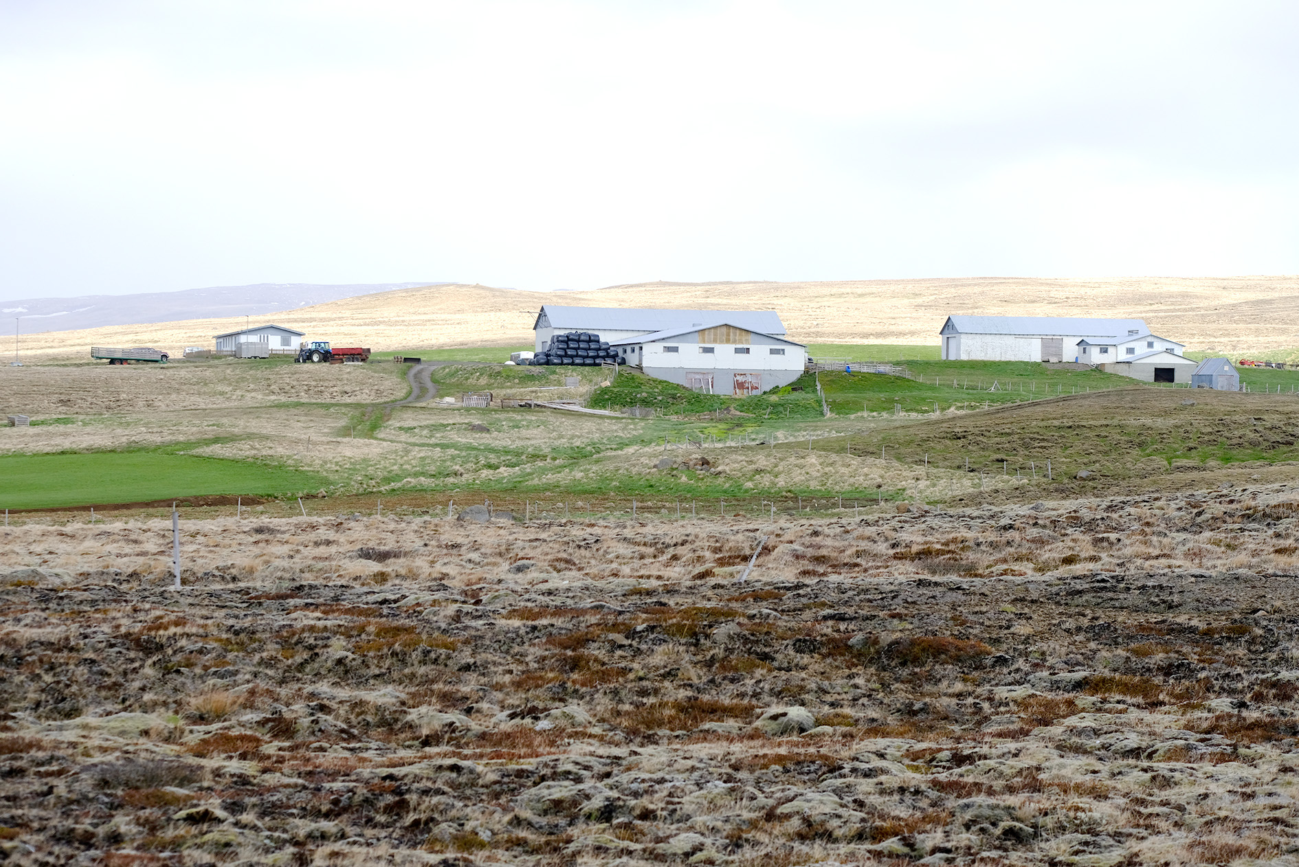 Miðfjarðarbændur kærðir