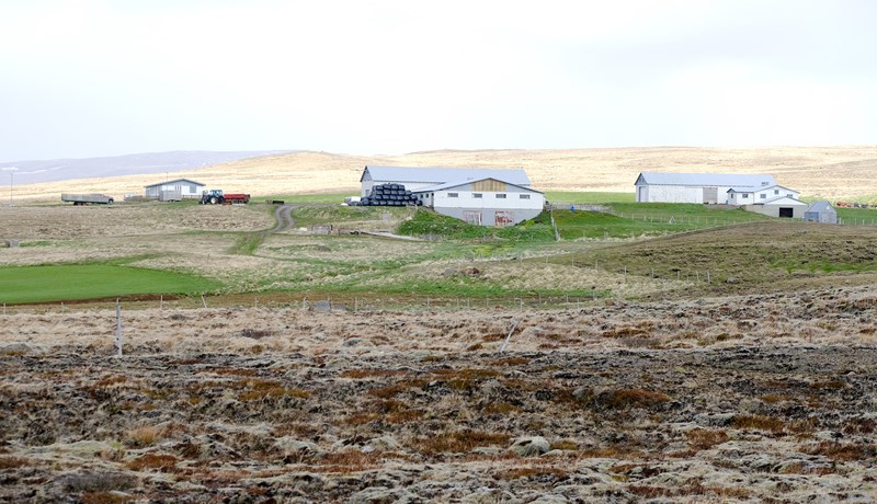 Miðfjarðarbændur kærðir