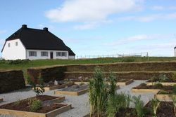 Hvað var ræktað í Nesi á tímum Bjarna Pálssonar landlæknis?