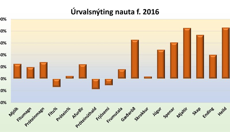 Úrvalsnýting nautanna sem voru fædd 2016