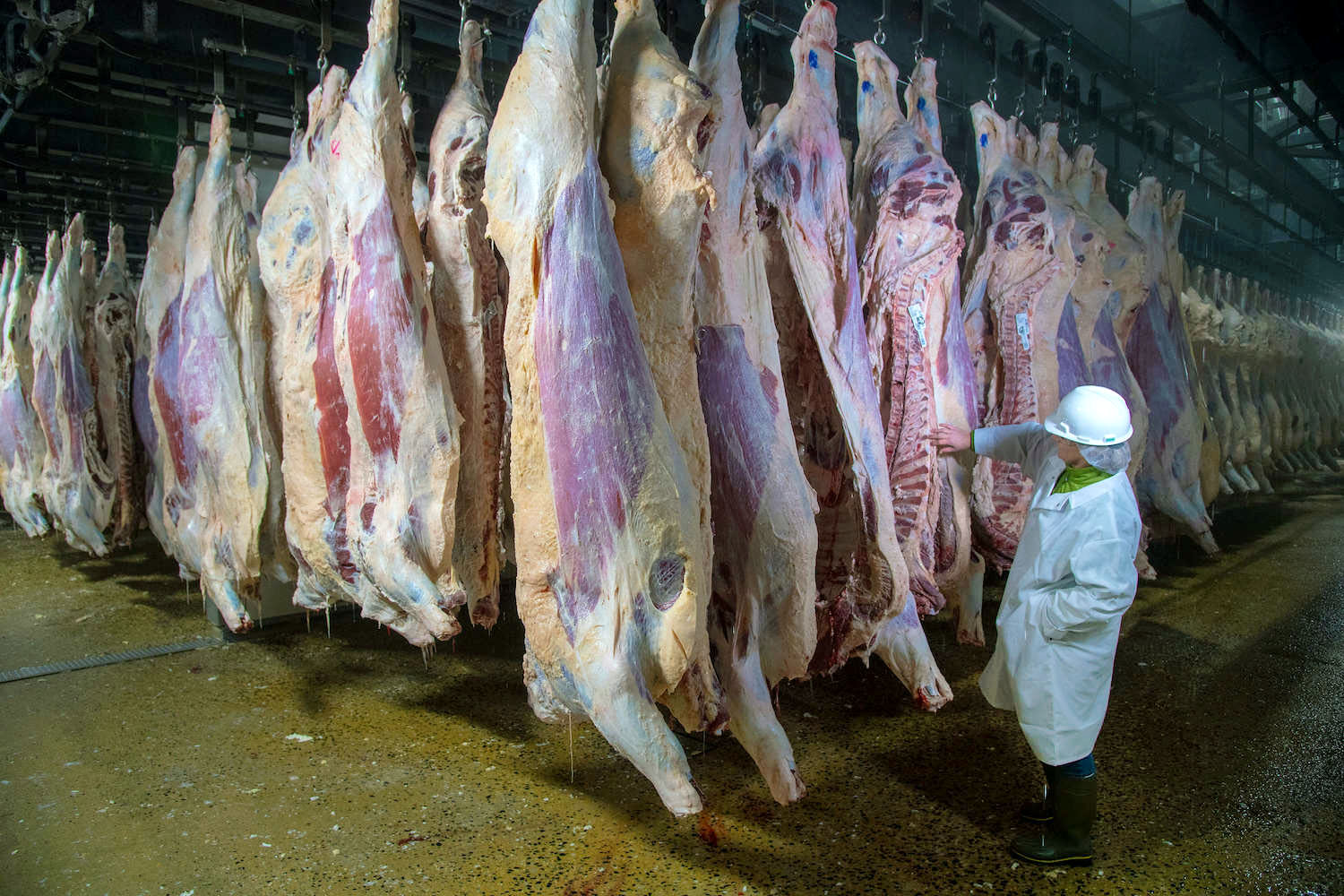 Framleiðendur erlendis ábyrgir fyrir sýnatökum og rannsóknum