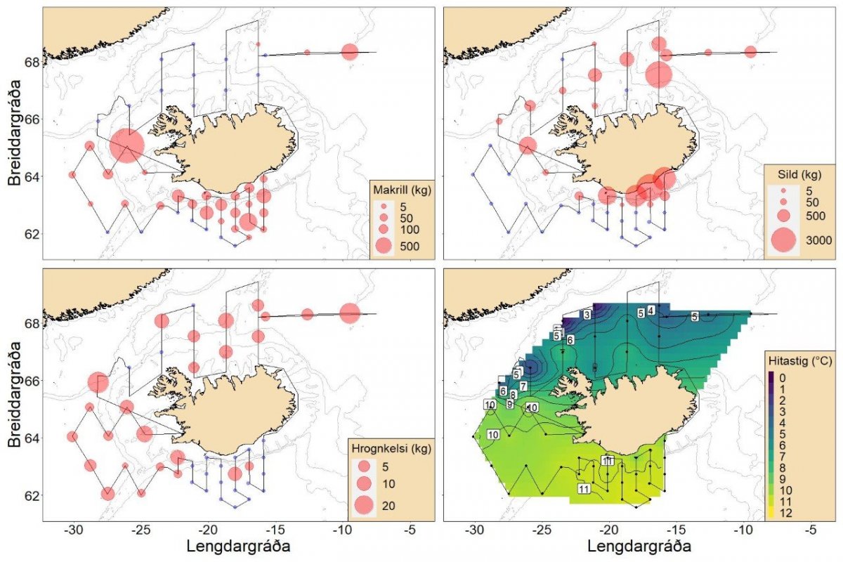 Makríll útbreiddur við landið
